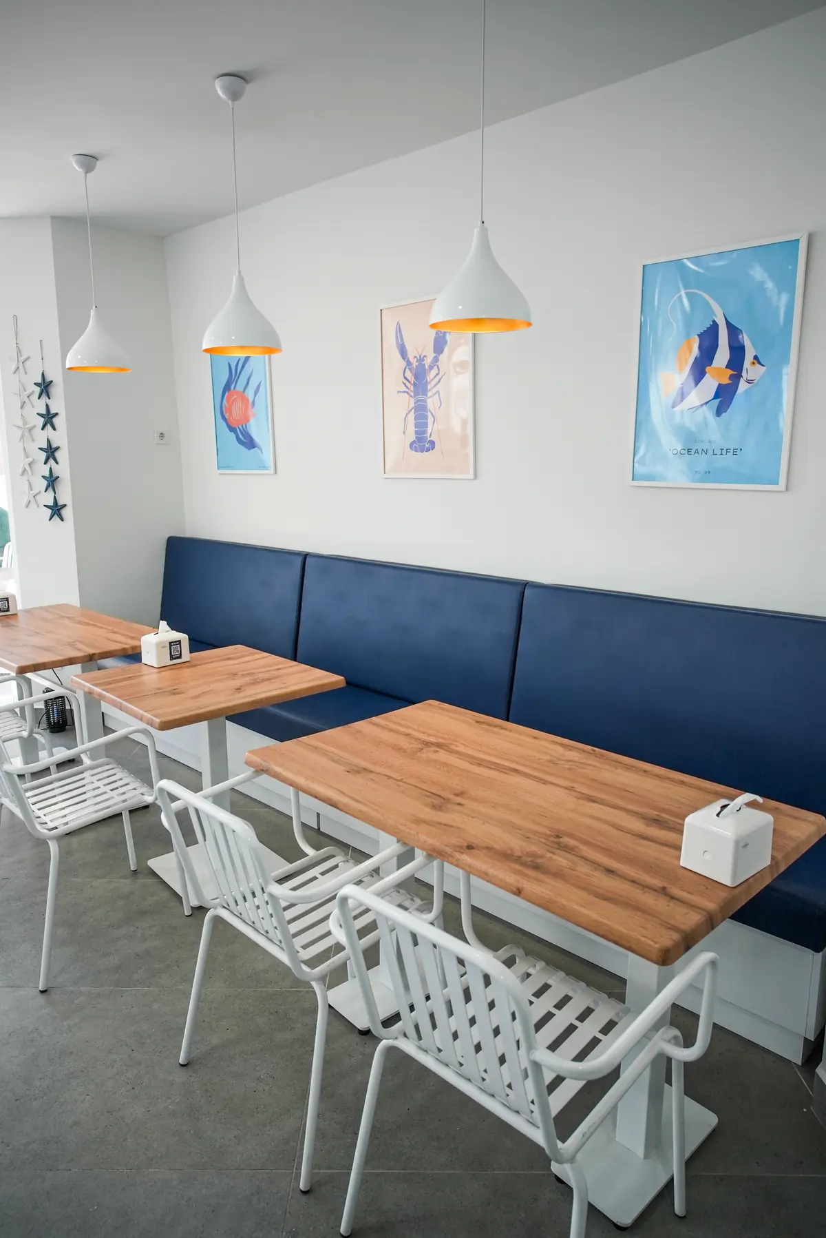 Fish & Fish dış cephe ve logo